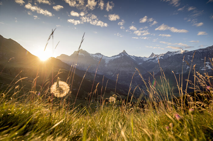 Oberland bernois: absorber la lumière
