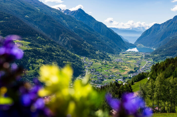 Valposchiavo sera la Région suisse du Goût 2024