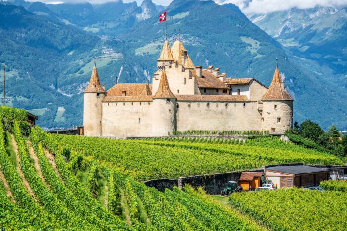 ÉVASION GOURMANDE AU COEUR DES VIGNOBLES