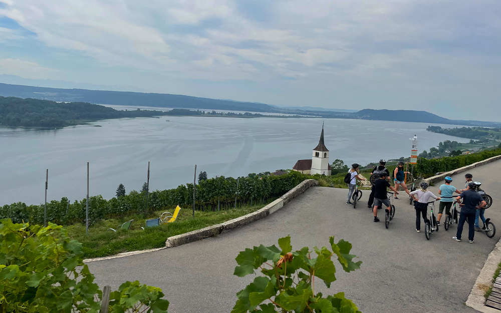 Descente en trottinette dans les vignes à Berne