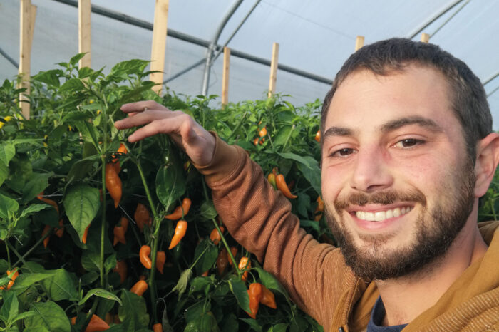 Lucas Malacari, l'alchimiste du piment vaudois