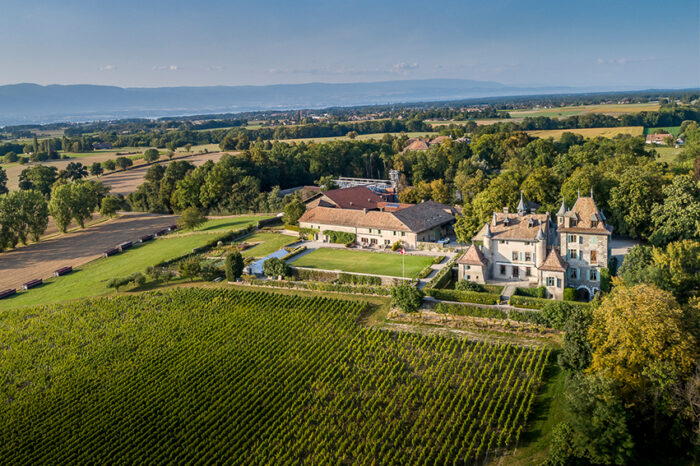 Le malbec, un cépage voyageur