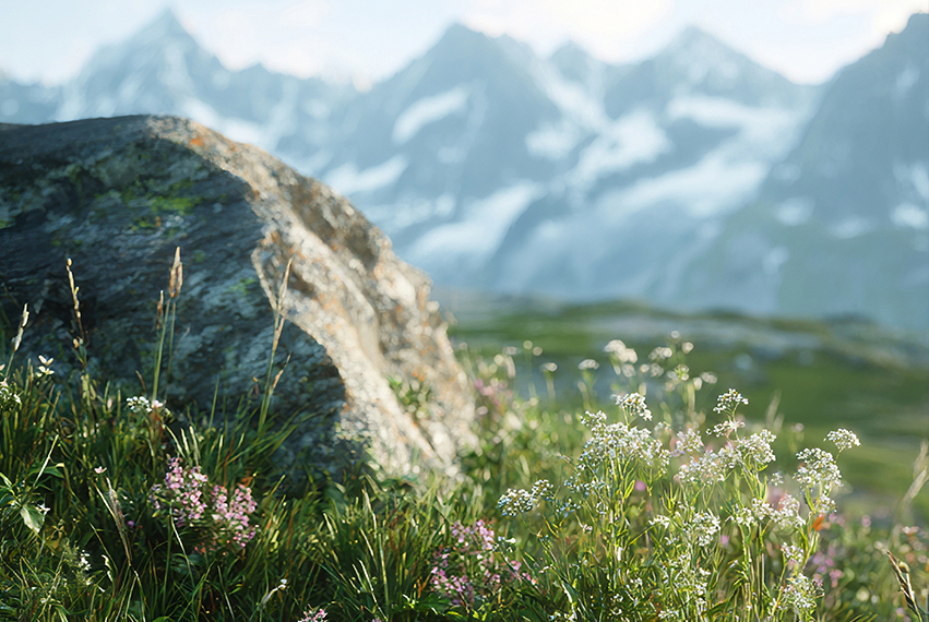 Herbes d’altitude, saveurs alpines